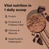 Shakeology 0g Added Sugar Plant-Based Protein Powder-Cookies&Creamy,30 Serv view 3