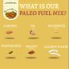 SteadyCrunch Paleo Fuel Trail Mix - Non-GMO & Gluten Free Healthy Snacks - Vegan Mixed Nuts and Dried Fruit Snack Packs - Walnuts, Almonds & Fig - High Fiber Snacks for Adults - Pack of 1 (8 oz) view 3