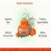 14.10oz Organic Dried Sea Buckthorn Berries Powder 400Gm | Nourishes Skin | Rich In Fatty Acids | Enrich With Omega | No Added Sugar view 3