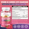DIAOLAI Vitamin B2 Gummies Riboflavin 400mg Supplement with Magnesium for Kids & Adults, B2 Gummies for Migraine Relief & Nervous System Support, Vegan, Raspberry Flavor, 60 Count view 2