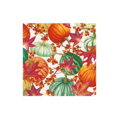 Caspari Gourds and Leaves Recycled Cocktail Napkins - includes 20 Cocktail Napkins