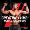 GMU SPORT Creatine HMB Powder 45 Servings 5g Creatine Monohydrate + 3g HMB + Piperine Muscle Growth, Strength & Recovery Fruit Punch view 4