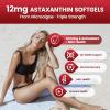 10 in 1 Astaxanthin Supplements 12mg, 16 Month Supply, Astaxantina Antioxidant from Fresh Haematococcus Pluvialis, Contains Lycopene, Grape Seed, Vitamin E, More Supports Eye, Joints, Skin Health 4Bag view 3