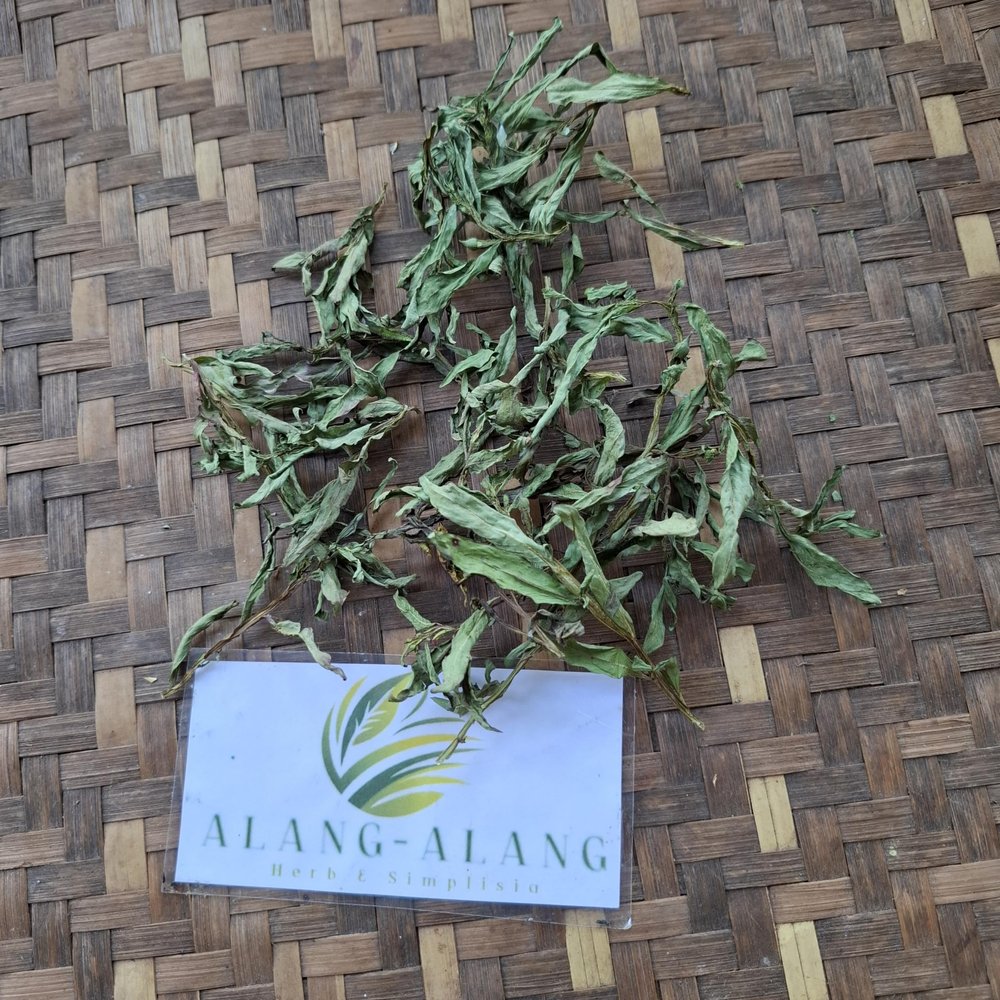 Lakum Air (Ludwigia Octovalvis) Mexican primrose-willow Dried (450 Gram)