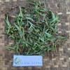 Lakum Air (Ludwigia Octovalvis) Mexican primrose-willow Dried (450 Gram) view 4