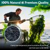 10 oz Dried Wakame Seaweed Natural Dried Seaweed for Miso Soup, Seaweed Salad, Sushi, Ramen & Stir-Fry Gluten-Free, Vegan, Resealable Bag, Quick Soak Kelp for Asian Cooking view 2
