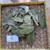 Daun Alpukat (Persea americana) Avocado Dried Leaves (80 Gram) view 3