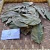 Daun Alpukat (Persea americana) Avocado Dried Leaves (80 Gram) view 4
