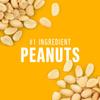 KIND Protein MAX Bars, Sweet & Salty Caramel Peanut Crisp, Gluten Free, Low Sugar, High Fiber Snacks, 20g Protein, 24 Count view 2