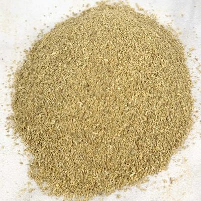 Essential Spice Organic Ground Rosemary Earthy, Piney & Aromatic Flavor Finely Ground Rosemary Herb for Seasoning, Sauces, Soups & Marinades (25 Pounds)
