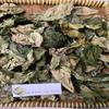 Daun Awar Awar (Ficus septica) Hauili Fig Tree Dried Leaves (80 Gram) view 2
