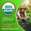 Dalnara Organic Spearmint Capsules 1200 mg - USDA Certified, Supports Womens Wellness, Hormonal Balance & Digestive Vitality, Vegan-Friendly Herbal Supplement - 60-Day Supply view 4