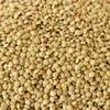 High Plains Beans Richlea Lentils, 10 lb Bag, Premium Green Lentils view 3