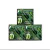 3 Boxes of 20 Tea Bags Spring Sprouts Tai Chi Green Tea view 1