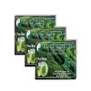3 Boxes of 20 Tea Bags Spring Sprouts Tai Chi Green Tea view 2