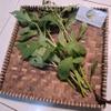 Daun Sintrong (Crassocephalum crepidioides) Thickhead Dried Leaves (80 Gram) view 2