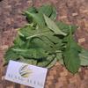 Daun Sintrong (Crassocephalum crepidioides) Thickhead Dried Leaves (80 Gram) view 3