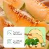 Premium Dehydrated Cantaloupe Slices | Hami Melon,Soft, Chewy Texture in Protective Jar | 100% Pure Fruit with No Added Sugar or Preservatives | Ideal Travel & Family Snack | 250g/8.8oz view 2
