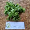 Daun Seledri (Apium graveolens) Celery Dried Leaves (450 Gram) view 2