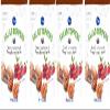 Dried Cranberries & Honey Roasted Pecans Salad Toppers (4 Bags, 3 oz. each) view 1