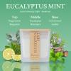 Aeviva Eucalyptus Mint Scented Candle, 7.04oz 40 Hour Burn, Natural Soy Wax with Crackling Wood Wick, Highly Scented Aromatherapy Candle for Stress Relief & Meditation, Gifts for Women & Men view 4