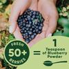 Wild Blueberry Powder Organic 5 Ounce Bag USDA Certified & Lab Tested - Freeze Dried Blueberries No Added Sugar, Additives, or Fillers - Antioxidant Superfood For Smoothies & Baking From Whole Berries view 4