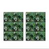 12 Boxes of Loose Tea in 20 Packets Tai Chi Green Tea Spring Sprouts view 1