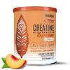 BIRDMAN Creatine Refresher | Creatine Monohydrate Powder with Electrolytes, Magnesium Glycinate & Vitamins | Creaclean Seal | Sugar Free, Low Calorie | Golden Peach | 30 Servings view 1