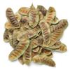 NY Spice Shop Senna Pods - 4 Ounce Whole Natural Cassia Angustifolia Pods - Dried Herbal Ingredient for Tea Blends Herbal Infusions Tinctures Potpourri and Traditional Recipes view 2