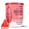 BIRDMAN Creatine Refresher | Creatine Monohydrate Powder with Electrolytes, Magnesium Glycinate & Vitamins | Creaclean Seal | Sugar Free, Low Calorie | Watermelon Splash | 30 Servings