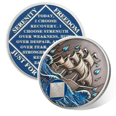 Vitalway Braving the Storm 28 Year Sobriety Coin, NA Recovery Medallion