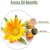Arnica Oil (Arnica Montana) 1000ml | 100% Pure & Natural Carrier Oil | for Massage, Muscle Relaxation, Skin Care & Hair Care | Lightweight & Non-Greasy view 4