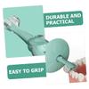 Beaupretty Silicone Training Toothbrush Soft Bristle Toothbrush for Gum Care and Teeth Cleaning Safe Chewing Design for Boy Girl and Easy to Clean and Material view 2