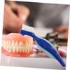 VALICLUD 2Pcs Travel Denture Brushes Double Sided Cleaning Toothbrush for False Teeth Care Material with Ergonomic Handle Portable Oral Hygiene Tool for Denture Maintenance view 3