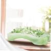 SECFOU 2pcs Foot Roller Massager for Muscle Soreness Relief Plastic Mini Foot Relaxation Tool to Promote Circulation and Soothe Ache view 3