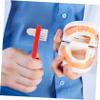 Garneck 4pcs Dual Head Denture Cleaning Brush Material Double Sided Design for Thorough Oral Care Portable Denture Toothbrushes for Adults Red view 3