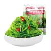 2 Flavors Shredded Seaweed,Cold Salad,Wakame (100g/bag) Vegetables,Japanese Side Dishes,Pickles,Sour and Spicy Flavor,Instant Meals,Kimchi,Delicious Snack Gift (Sour and spicy flavor,2bags) view 1