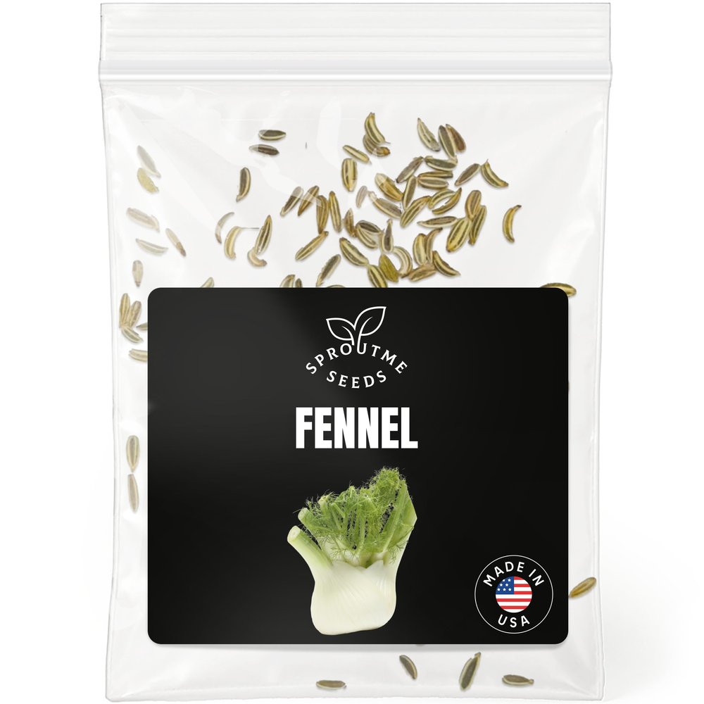 Fennel Seeds for Planting 150+ Non-GMO Heirloom Sweet Anise-Flavored Culinary Herb Seeds for Home Gardens (Foeniculum vulgare)