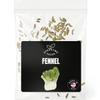Fennel Seeds for Planting 150+ Non-GMO Heirloom Sweet Anise-Flavored Culinary Herb Seeds for Home Gardens (Foeniculum vulgare) view 1