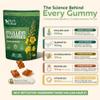 (5-in-1) Mullein Gummies for Lungs Cleanse & Detox | Organic Mullein Leaf Gummies for Lung Health, Heavy Smokers Breathing Support | Ashwagandha, Vitamin D3, Quercetin & Bromelain Pack of 60 view 2