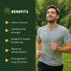 (5-in-1) Mullein Gummies for Lungs Cleanse & Detox | Organic Mullein Leaf Gummies for Lung Health, Heavy Smokers Breathing Support | Ashwagandha, Vitamin D3, Quercetin & Bromelain Pack of 60 view 3