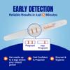 Cadence OTC EarlyPT Early Result Pregnancy Test Strips, Over 99% Accurate, Clear Results in 5 Minutes, Highly Sensitive HCG Test Strips, Detect Up to 6 Days Sooner (2 Midstream Tests) - 2 Pack view 3