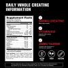 12 IN 1 Creatine Monohydrate Gummies Complex 9000mg for Women and Men to Support Muscle, Creatina gummy with L-Carnitine, B12, BCAA 2:1:1, Sugar Free, Non-GMO & Vegan, 120 Gummies, Mixed Berry Flavor view 3