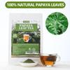 100 Premium Papaya Leaf Tea Bags, Made with 100% Natural Papaya Leaves, Free Wellness Tea, No Additives & Caffeine Free. view 2