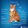 Jitesy Red Light Therapy for Cat,Lightweight Led 620nm Red Light Wand for Joints & Muscles Pain Relief for Dog and Cat view 3