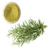 Natural Rosemary Dried Leaves Powder 25 gm view 4