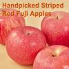 Apple Slices-Dried Apples, 180g/6.35oz, Apple chips, Fuji Apples, No Added, Guilt-free, Clean Snack | Chewy & Tender | Naturally Sweet & apple Aroma, Travel Nutrition Boost, Low-cal, Aids Digestion view 2