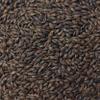 Epiphany Craft Malt, Icarus: Dark Chocolate style, SRM 470-510, 12oz bag view 3