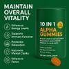 10-in-1 True Alpha Shilajit Gummies, 4000mg Himalayan Alpha Gummies for Men, Energy Boost, Immune Support, with Ashwagandha, Maca Root, Tongkat Ali, Fulvic Acid, 85+Trace Mineral, No Added Sugar, 60ct view 3