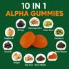 10-in-1 True Alpha Shilajit Gummies, 4000mg Himalayan Alpha Gummies for Men, Energy Boost, Immune Support, with Ashwagandha, Maca Root, Tongkat Ali, Fulvic Acid, 85+Trace Mineral, No Added Sugar, 60ct view 4